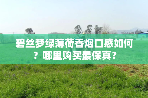 碧丝梦绿薄荷香烟口感如何？哪里购买最保真？